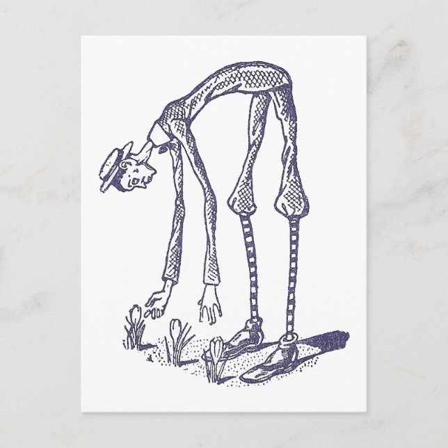 Blib Picks Blume Postkarte (Vorderseite)
