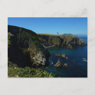Blick auf Anacapa Island in den Channel Islands Postkarte