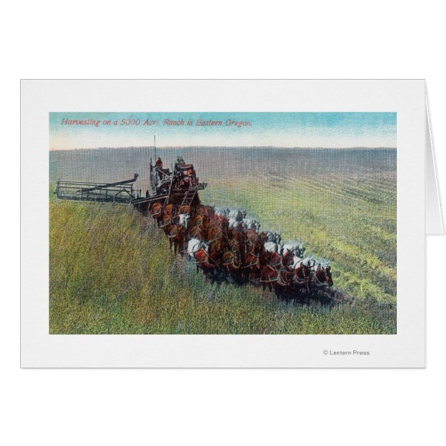 Blick auf Bauer, die mit riesigem Pferd ernten (Vorderseite (Horizontal))