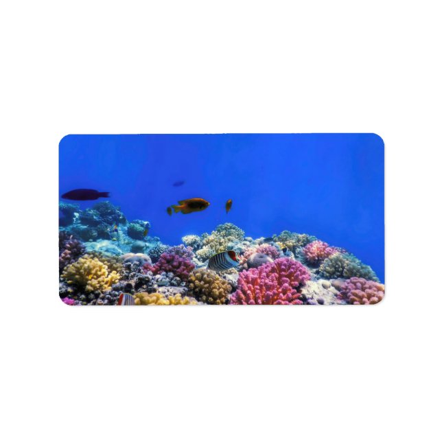 Blick auf das Korallenriff, tropische Gewässer Adressaufkleber (Vorne)