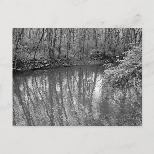 Blick auf den Fluss Postkarte (Vorderseite)