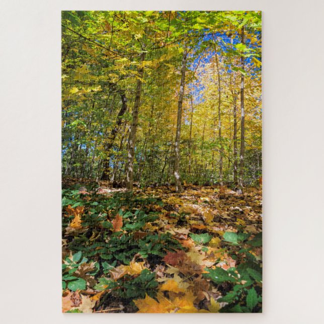 Blick auf den Herbst (Vertikal)