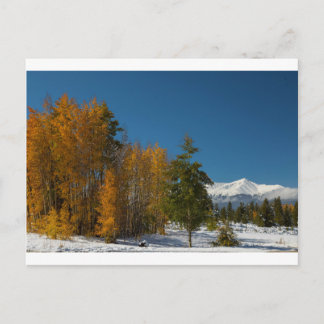 Blick auf den Herbst in Leadville Postkarte