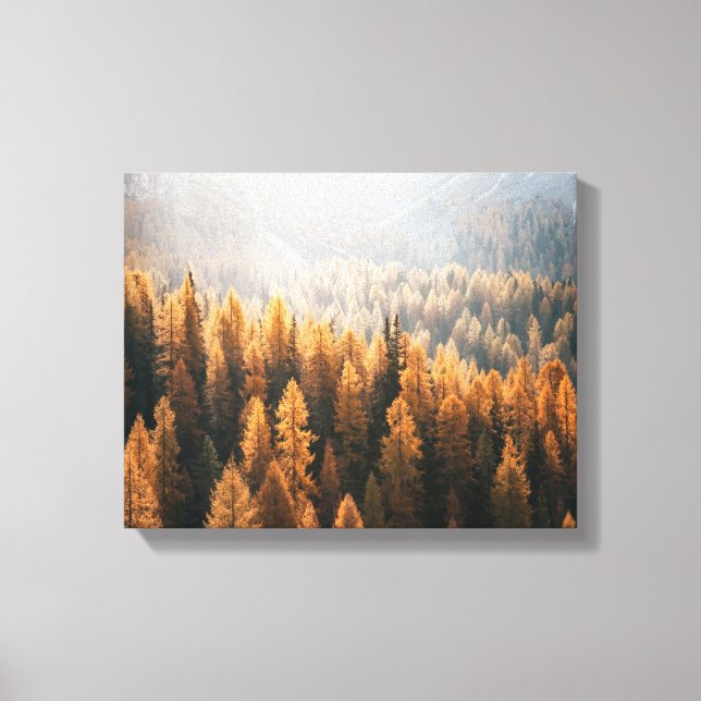 Blick auf den Herbst mit gelben Larven Leinwanddruck (Vorderseite)