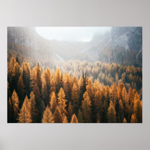 Blick auf den Herbst mit gelben Larven Poster