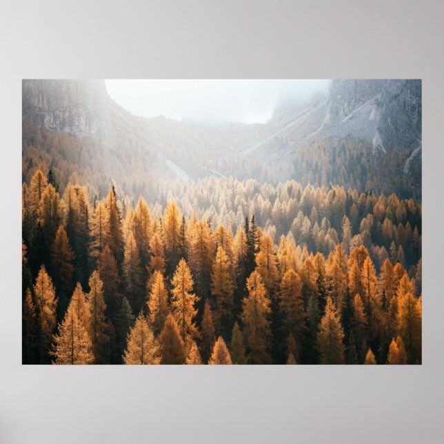 Blick auf den Herbst mit gelben Larven Poster (Vorne)