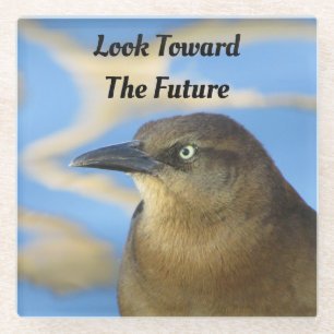 Blick auf den künftigen Blackbird-Stare-Abschluss Glasuntersetzer