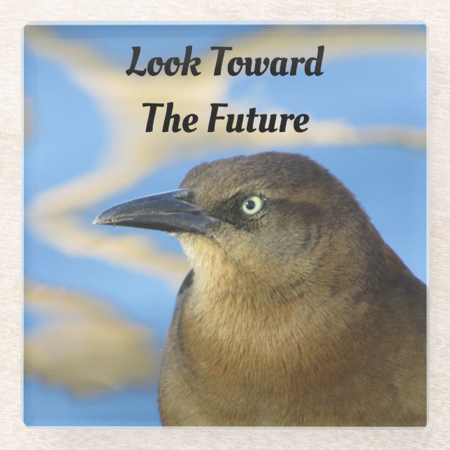 Blick auf den künftigen Blackbird-Stare-Abschluss Glasuntersetzer (Vorderseite)