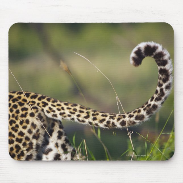 Blick auf den Leoparden-Schwanz (Panthera pardus), Mousepad (Vorne)