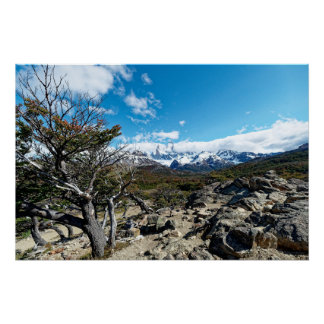 Blick auf den Mt. Fitzroy Poster