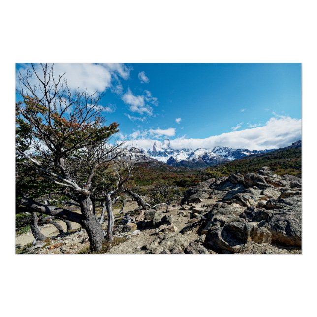 Blick auf den Mt. Fitzroy Poster (Vorderseite)