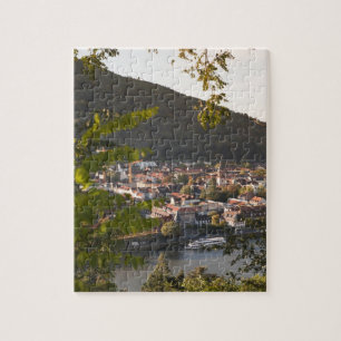 Blick auf die Altstadt von Heidelberg