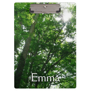 Blick auf die Bäume des Sommers Klemmbrett