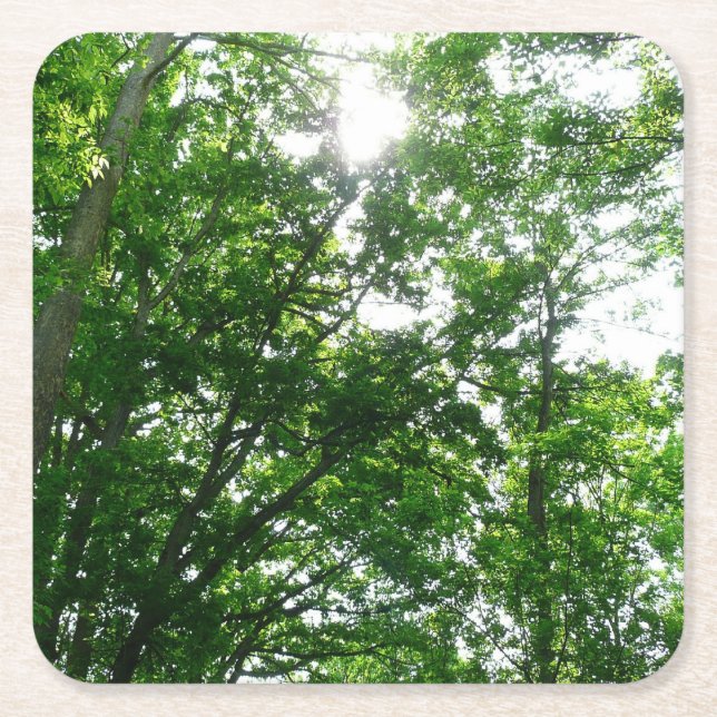Blick auf die Bäume des Sommers Rechteckiger Pappuntersetzer (Vorderseite)