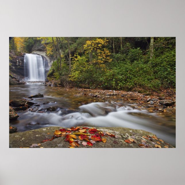Blick auf die Glasfälle im Pisgah National Poster (Vorne)