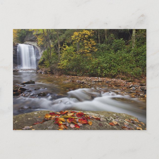 Blick auf die Glasfälle im Pisgah National Postkarte (Vorderseite)