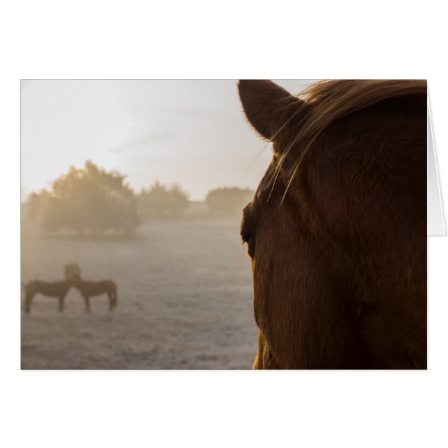 Blick auf die Grußkarte (Vorderseite (Horizontal))