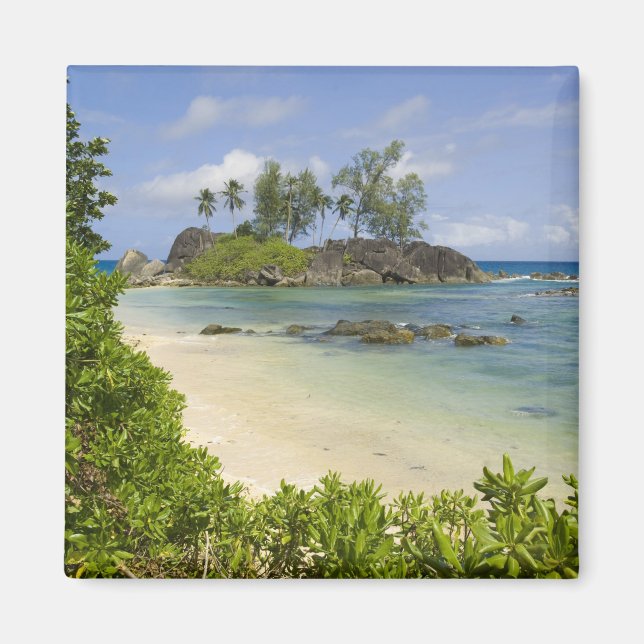 Blick auf die Küste auf Mahe Island Magnet (Vorne)