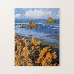 Blick auf die Oregon-Küste in Bandon