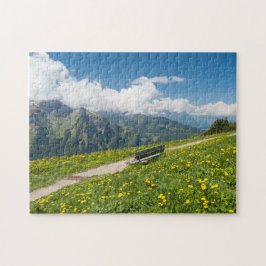 Blick auf die Schweizer Alpen