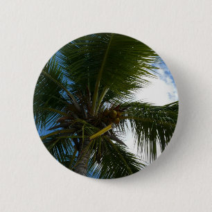 Blick auf die tropische Natur der Kokospalme Button