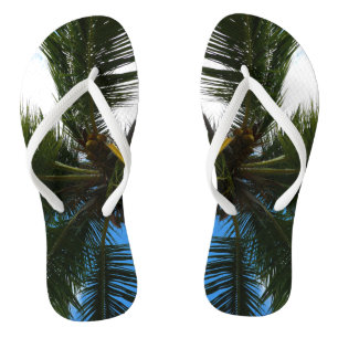 Blick auf die tropische Natur der Kokospalme Flip Flops