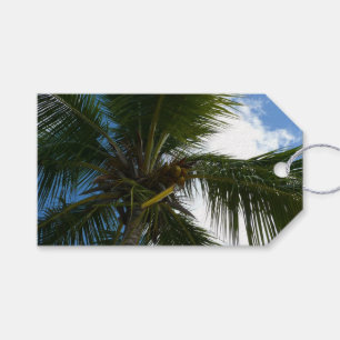 Blick auf die tropische Natur der Kokospalme Geschenkanhänger