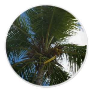 Blick auf die tropische Natur der Kokospalme Keramikknauf
