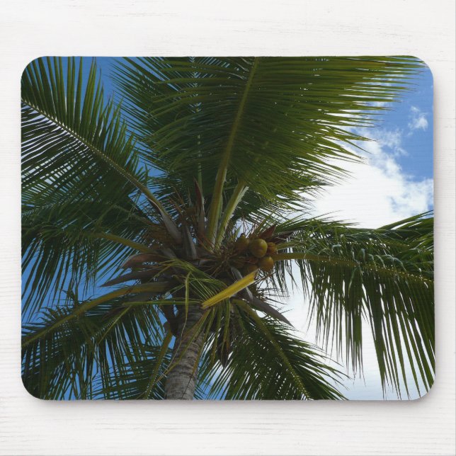 Blick auf die tropische Natur der Kokospalme Mousepad (Vorne)