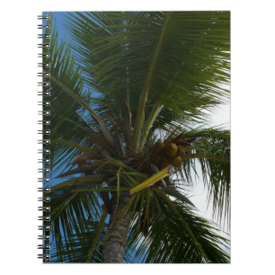 Blick auf die tropische Natur der Kokospalme Notizblock