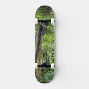Blick auf die Vegetation im Bali Botanischen Garte Skateboard