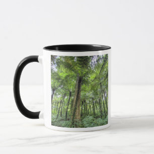Blick auf die Vegetation im Bali Botanischen Garte Tasse
