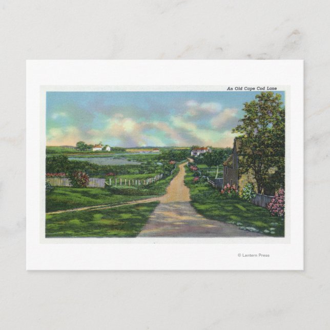 Blick auf eine alte Cape Cod Lane Postkarte (Vorderseite)