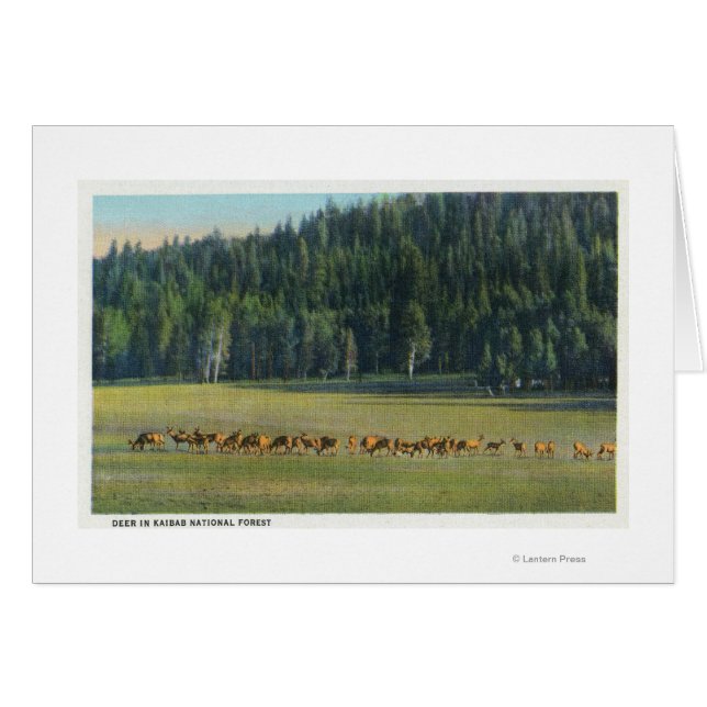 Blick auf eine Wildweide-Packung (Vorderseite (Horizontal))