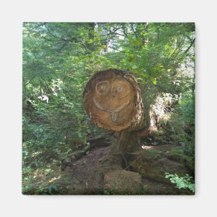 Blick auf einen Baum Magnet