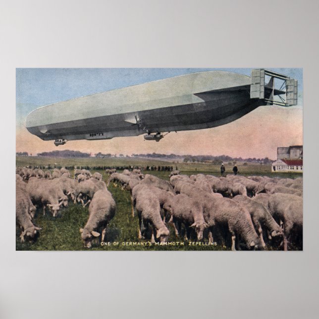 Blick auf einen Zeppelin Blimp über das Weideschaf Poster (Vorne)