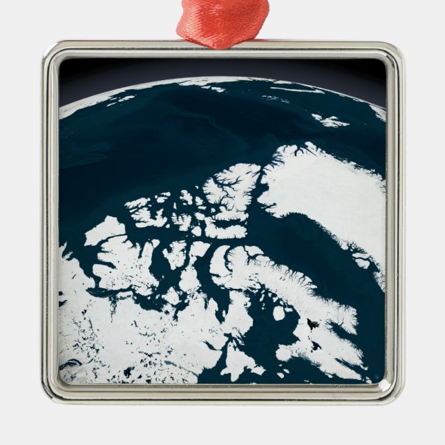 Blick auf Grönland und den Arktischen Ozean Silbernes Ornament (Vorne)
