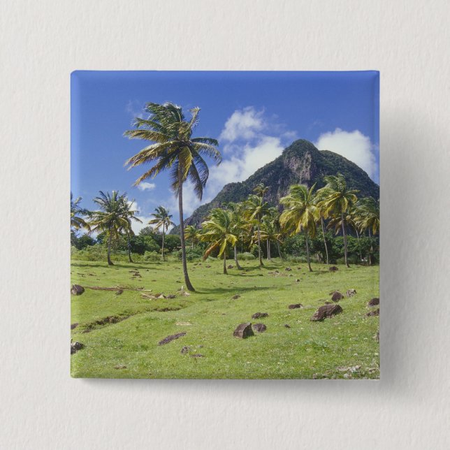 Blick auf Gros Piton entlang des historischen Pfad Button (Vorderseite)