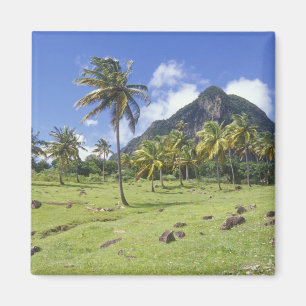 Blick auf Gros Piton entlang des historischen Wege Magnet