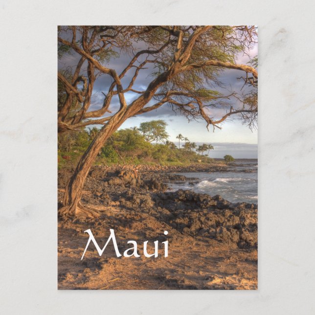 Blick auf Maui Postkarte (Vorderseite)