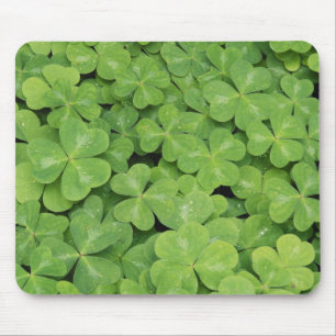 Blick auf Oxalis Oregana Holz-Sauerampfer-Laub Mousepad