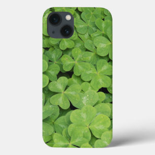 Blick auf Oxalis Oregana Wald Sauerklee Laub Case-Mate iPhone Hülle