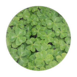 Blick auf Oxalis Oregana Wald Sauerklee Laub Schneidebrett