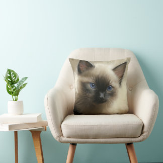 Blick auf Unschuld Siam Kitten Portrait Kissen