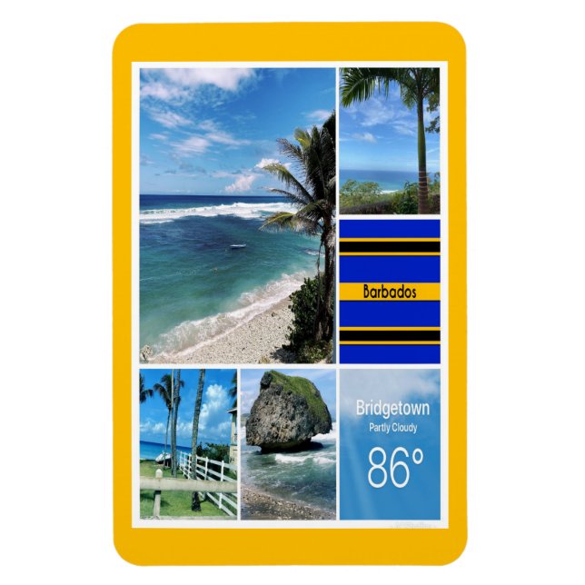 Blick aufs Meer von Barbados Magnet (Vertikal)