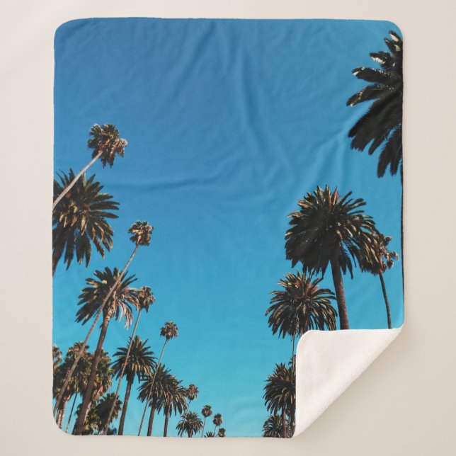 Blick des Wurms auf Bäume Sherpadecke (Vorderseite)