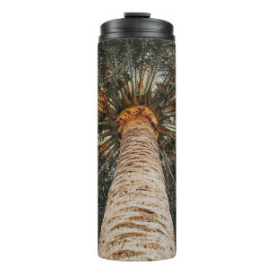 Blick des Wurms auf eine Kokospalme Thermosbecher