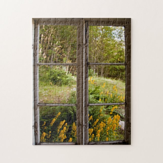 Blick durch altes Fenster (Vertikal)