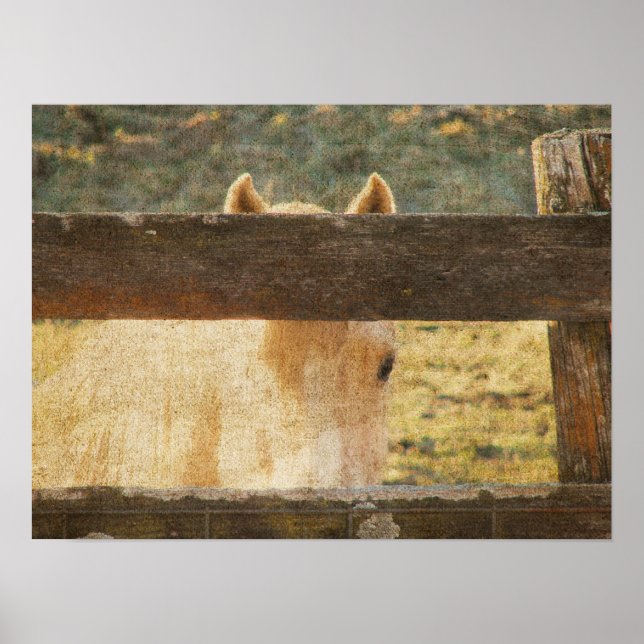 Blick durch den Zaun Poster (Vorne)