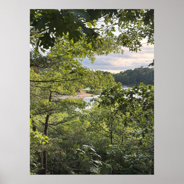Blick durch die Bäume Poster (Vorne)